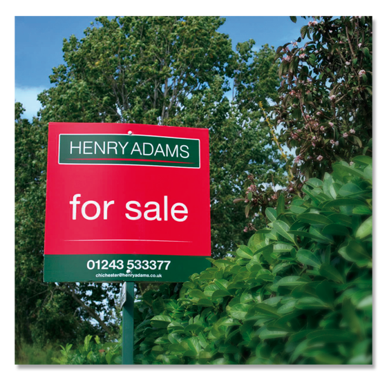 Our Work: Henry Adams